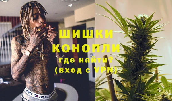 дурь Вяземский