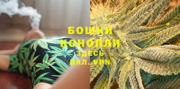 стаф Вязьма