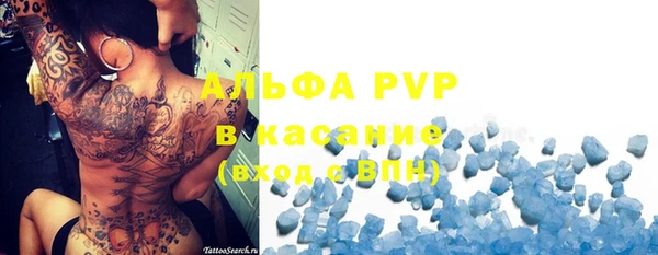 стаф Вязьма