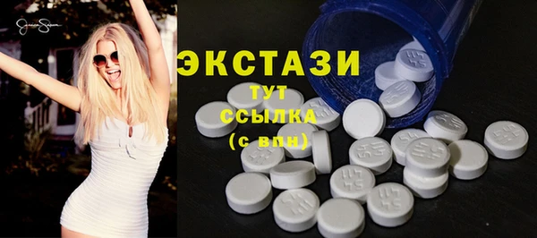стаф Вязьма