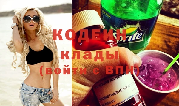 стаф Вязьма