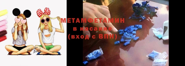стаф Вязьма