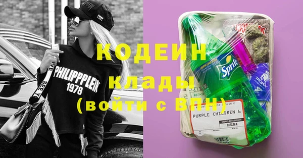 стаф Вязьма